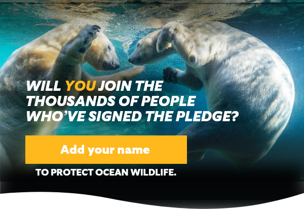 Will you join the thousands of people who've signed the pledge? Add your name to protect ocean wildlife.