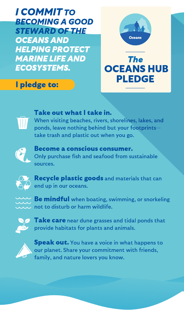 The Oceans Hub Pledge
    I commit to becoming a good steward of the oceans and helping protect marine life and ecosystems.
    I pledge to:
    Take out what I take in. When visiting beaches, rivers, shorelines, lakes, and ponds, leave nothing behind but your footprints—take trash and plastic out when you go.
    Become a conscious consumer. Only purchase fish and seafood from sustainable sources.
    Recycle plastic goods and materials that can end up in our oceans.
    Be mindful when boating, swimming, or snorkeling not to disturb or harm wildlife.
    Take care near dune grasses and tidal ponds that provide habitats for plants and animals.
    Speak out. You have a voice in what happens to our planet. Share your commitment with friends, family, and nature lovers you know. 
