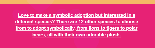 Love to make a symbolic adoption but interested in a different species? There are 12 other species to choose from to adopt symbolically, from lions to tigers to polar bears, all with their own adorable plush.