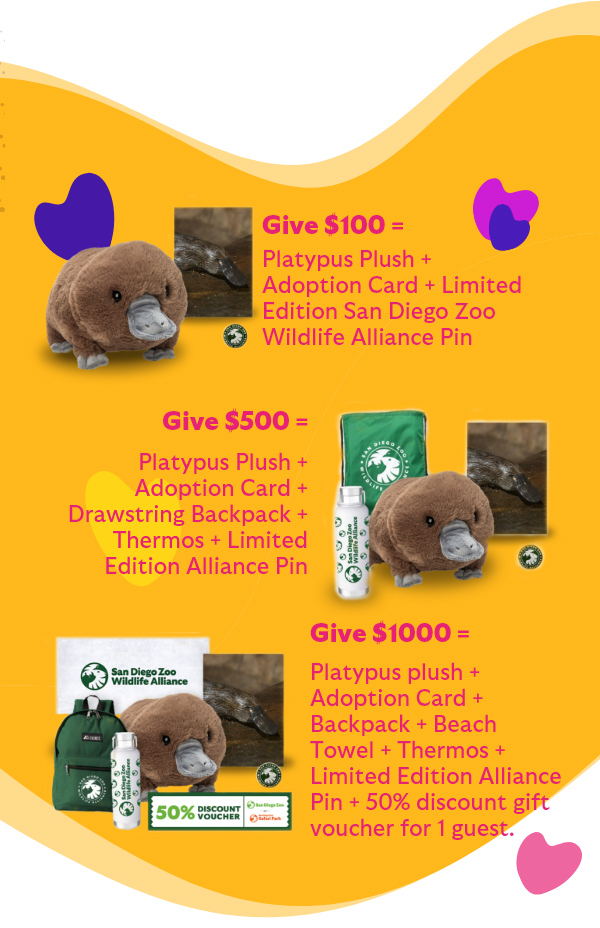 Give $100 = Platypus Plush + Adoption Card + Limited Edition San Diego Zoo Wildlife Alliance Pin | Give $500 = Platypus Plush + Adoption Card + Drawstring Backpack + Thermos + Limited Edition Alliance Pin | Give $1000 = Platypus Plush + Adoption Card + Backpack + Thermos + Beach Towel + Limited Edition Alliance Pin + 50% discount gift voucher for one guest.