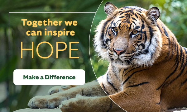 Together we can inspire hope. Make a Difference.