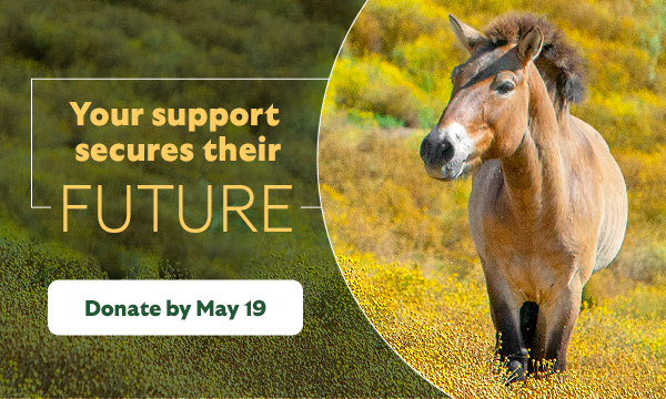 Your support secures their future. Donate by May 19