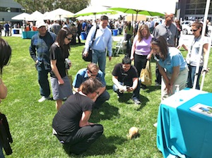 Qualcomm Earth Day