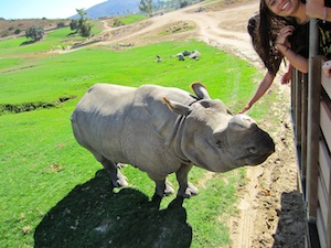 Rhino Photo Caravan