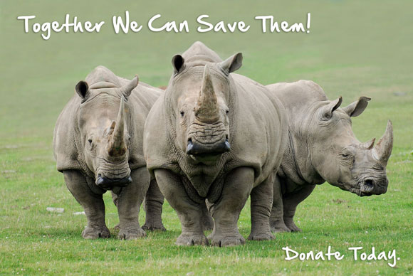 Together We Can Save Them! Donate Today.