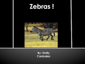 Zebras